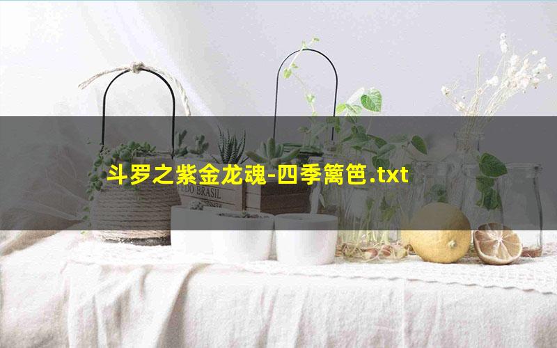 斗罗之紫金龙魂-四季篱笆.txt