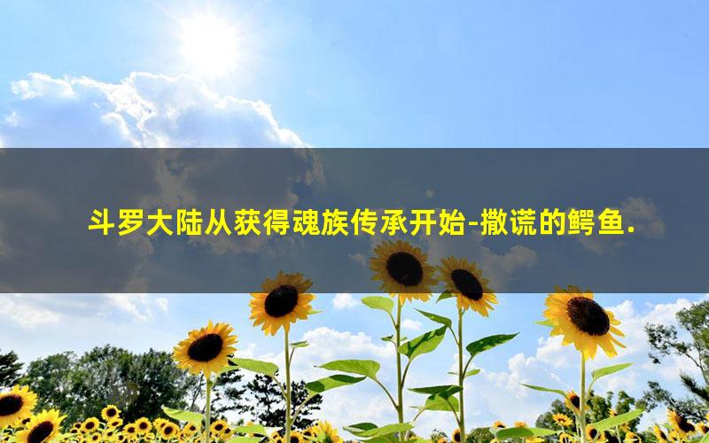 斗罗大陆从获得魂族传承开始-撒谎的鳄鱼.txt