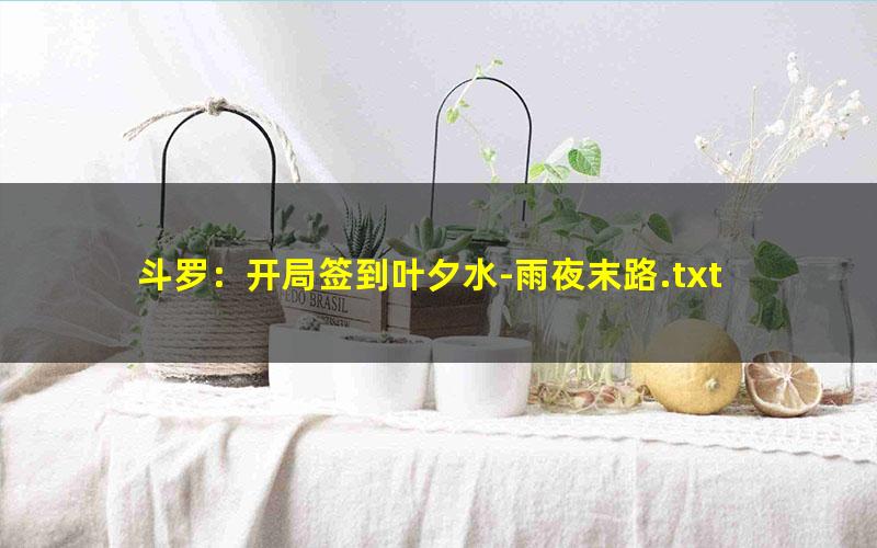 斗罗：开局签到叶夕水-雨夜末路.txt txt/pdf/azw3/mobi电子版百度夸克网盘下载