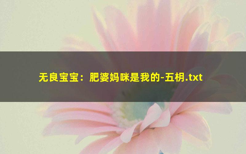 无良宝宝：肥婆妈咪是我的-五枂.txt