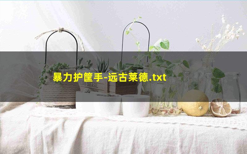 暴力护筐手-远古莱德.txt