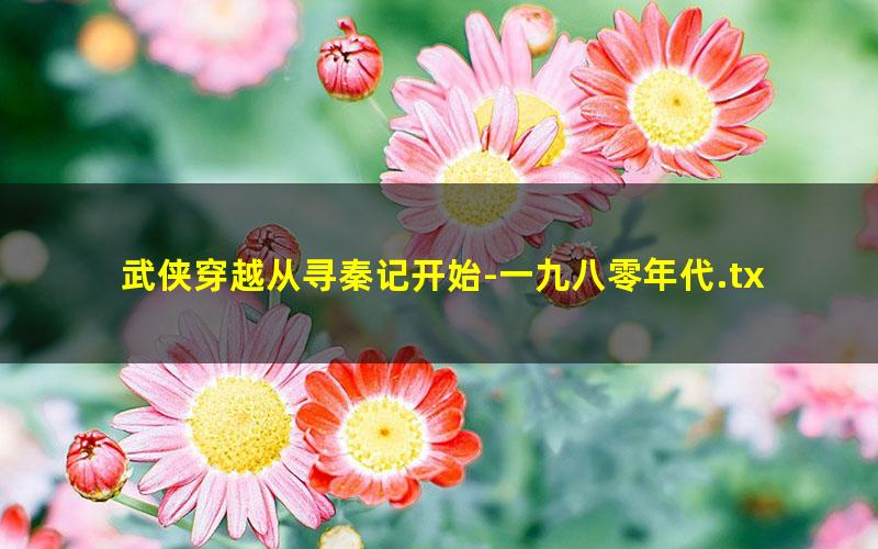 武侠穿越从寻秦记开始-一九八零年代.txt