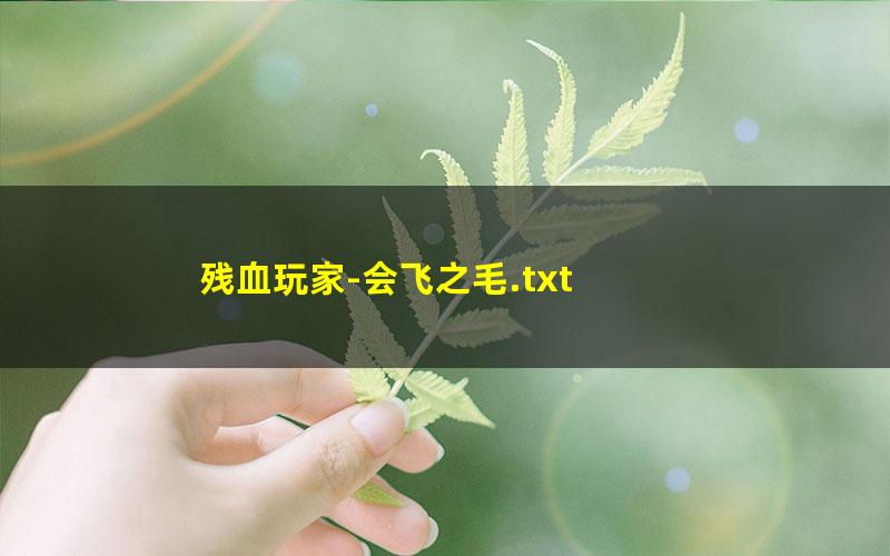 残血玩家-会飞之毛.txt