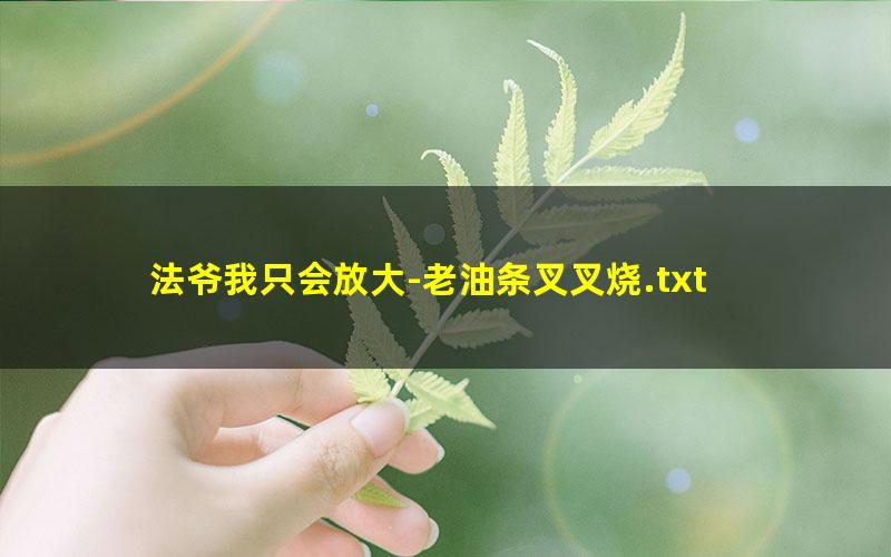 法爷我只会放大-老油条叉叉烧.txt