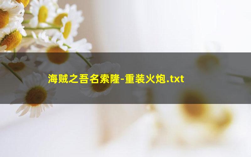 海贼之吾名索隆-重装火炮.txt