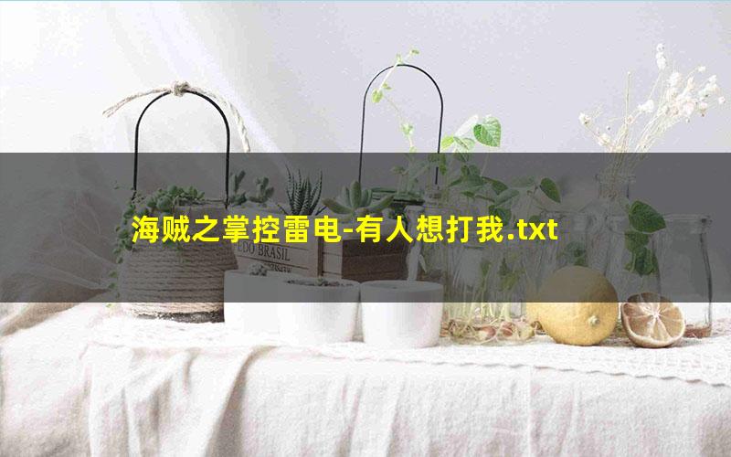 海贼之掌控雷电-有人想打我.txt