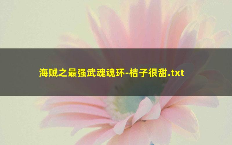 海贼之最强武魂魂环-桔子很甜.txt