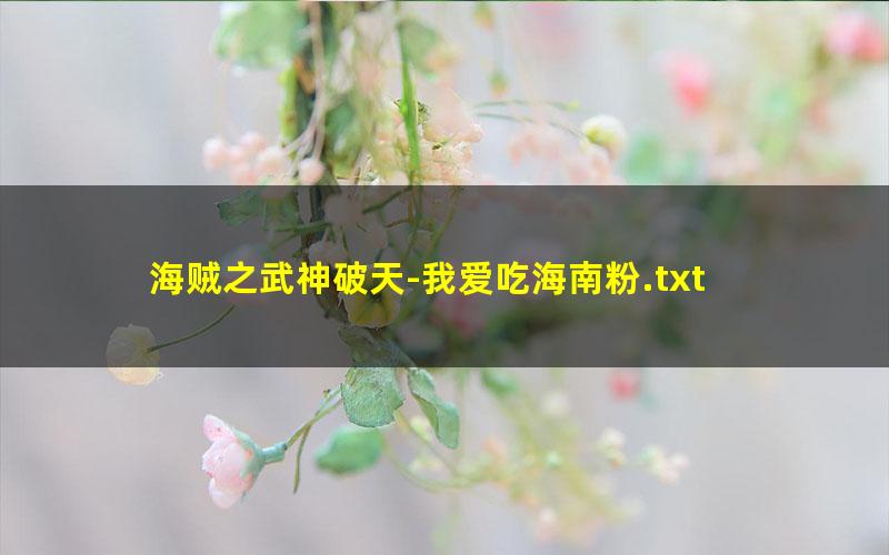 海贼之武神破天-我爱吃海南粉.txt