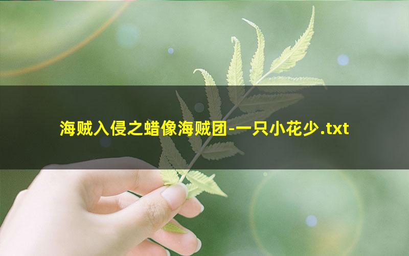 海贼入侵之蜡像海贼团-一只小花少.txt