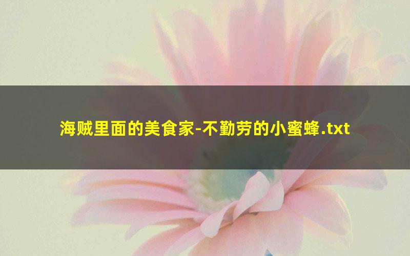 海贼里面的美食家-不勤劳的小蜜蜂.txt txt/pdf/azw3/mobi电子版百度夸克网盘下载