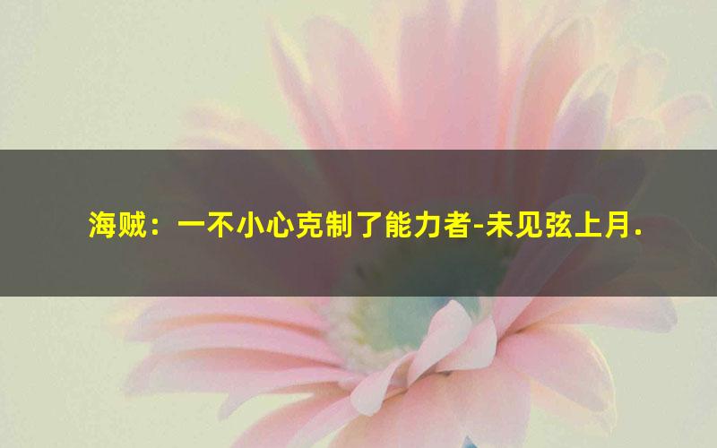 海贼：一不小心克制了能力者-未见弦上月.txt txt/pdf/azw3/mobi电子版百度夸克网盘下载