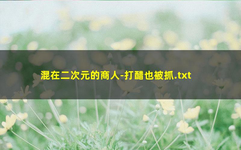 混在二次元的商人-打醋也被抓.txt