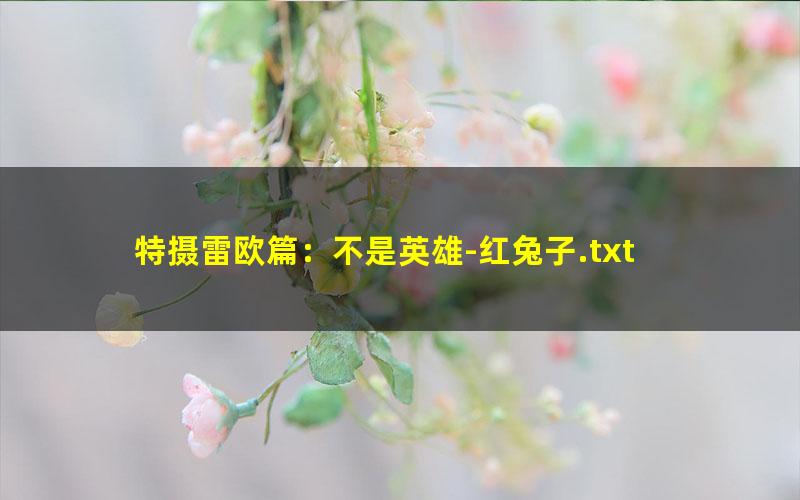 特摄雷欧篇：不是英雄-红兔子.txt