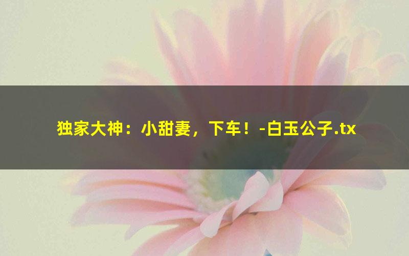独家大神：小甜妻，下车！-白玉公子.txt