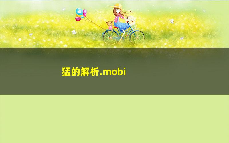 猛的解析.mobi