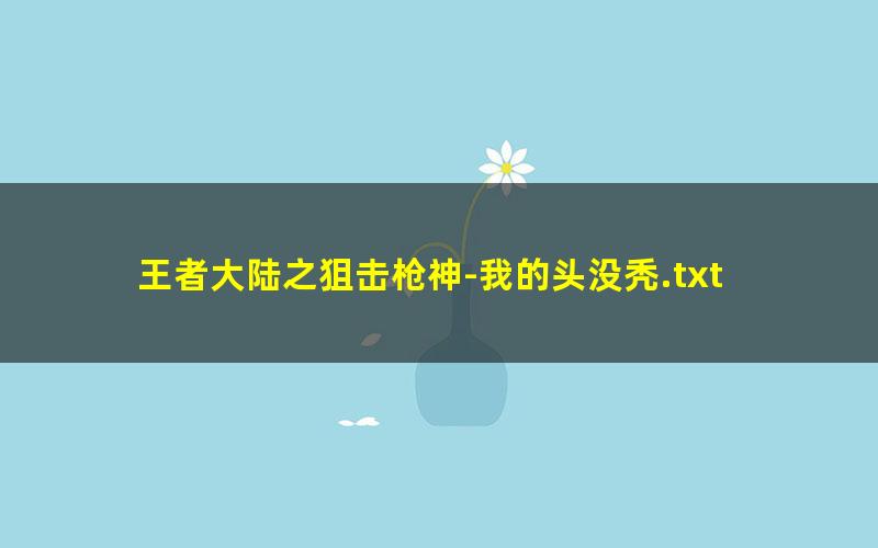 王者大陆之狙击枪神-我的头没秃.txt