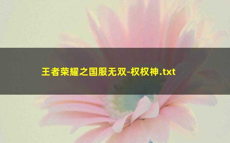 王者荣耀之国服无双-权权神.txt