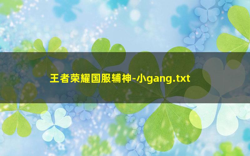 王者荣耀国服辅神-小gang.txt