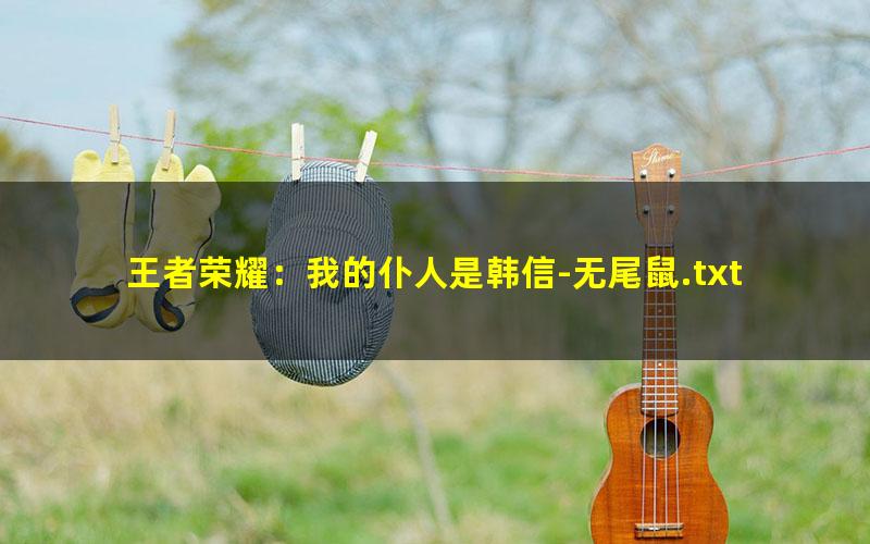 王者荣耀：我的仆人是韩信-无尾鼠.txt