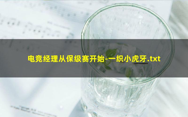电竞经理从保级赛开始-一织小虎牙.txt