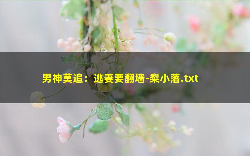 男神莫追：逃妻要翻墙-梨小落.txt