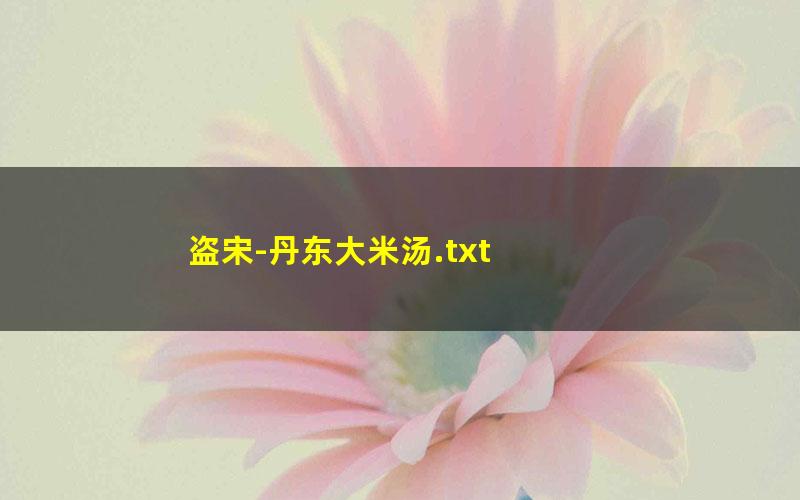 盗宋-丹东大米汤.txt