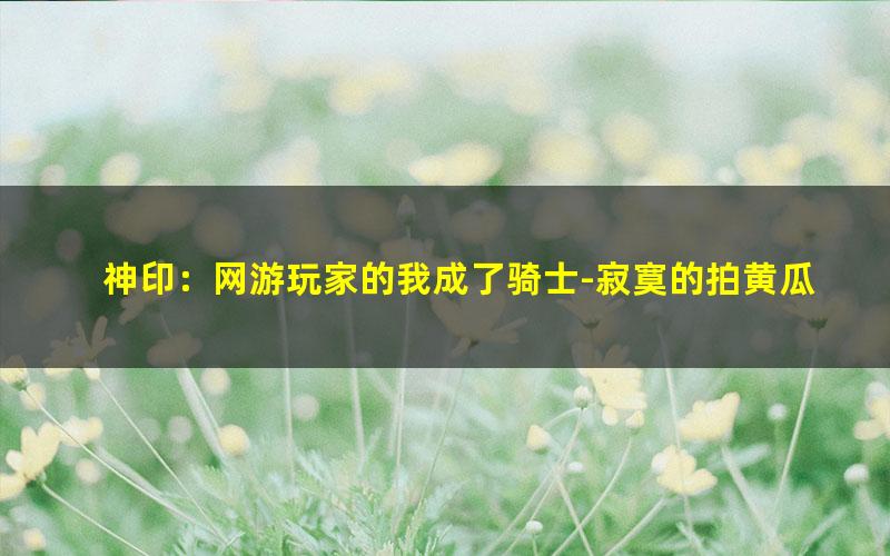 神印：网游玩家的我成了骑士-寂寞的拍黄瓜.txt
