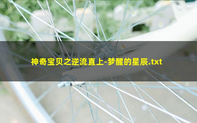 神奇宝贝之逆流直上-梦醒的星辰.txt