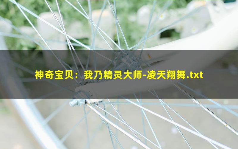 神奇宝贝：我乃精灵大师-凌天翔舞.txt