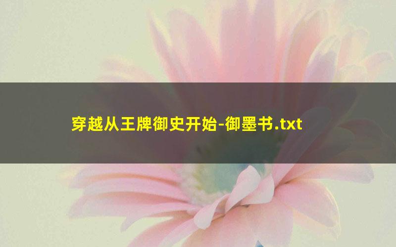 穿越从王牌御史开始-御墨书.txt