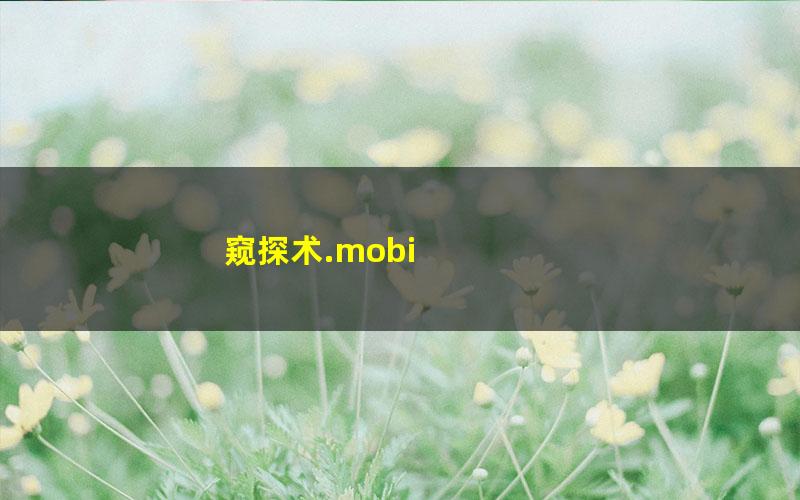 窥探术.mobi