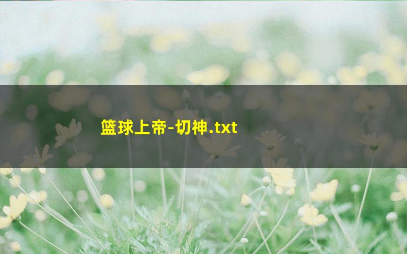 篮球上帝-切神.txt