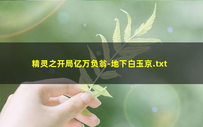 精灵之开局亿万负翁-地下白玉京.txt