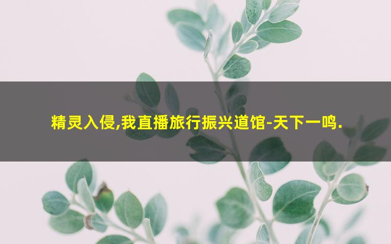 精灵入侵,我直播旅行振兴道馆-天下一鸣.txt
