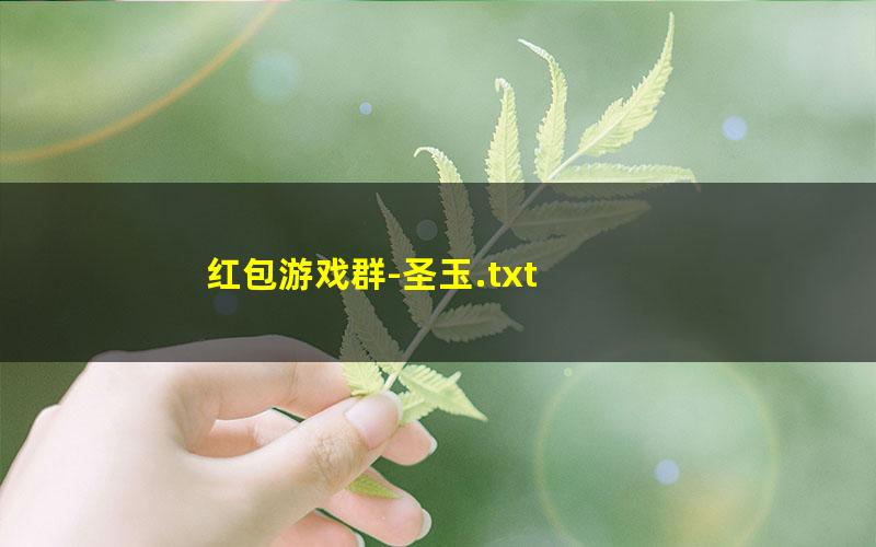 红包游戏群-圣玉.txt