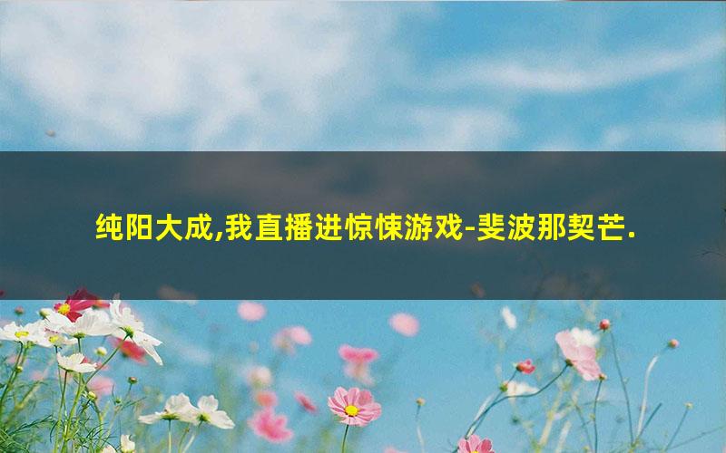 纯阳大成,我直播进惊悚游戏-斐波那契芒.txt