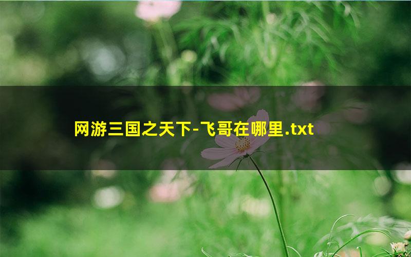 网游三国之天下-飞哥在哪里.txt