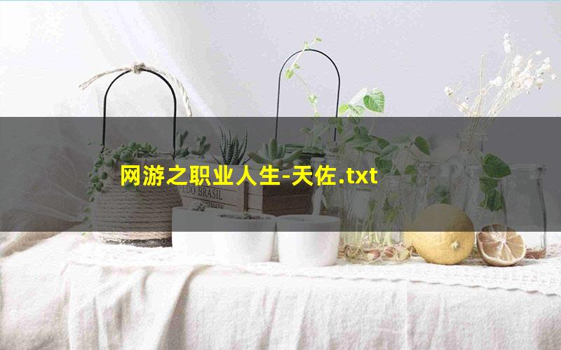 网游之职业人生-天佐.txt