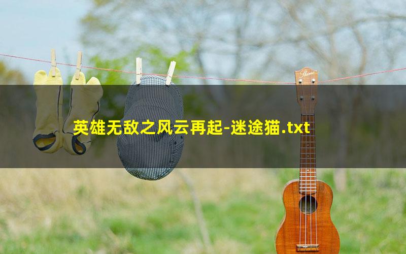 英雄无敌之风云再起-迷途猫.txt