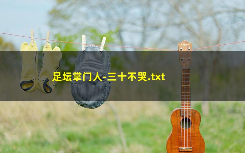 足坛掌门人-三十不哭.txt