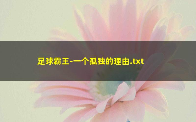 足球霸王-一个孤独的理由.txt
