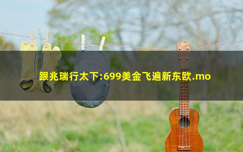 跟兆瑞行太下:699美金飞遍新东欧.mobi