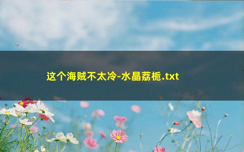 这个海贼不太冷-水晶荔栀.txt
