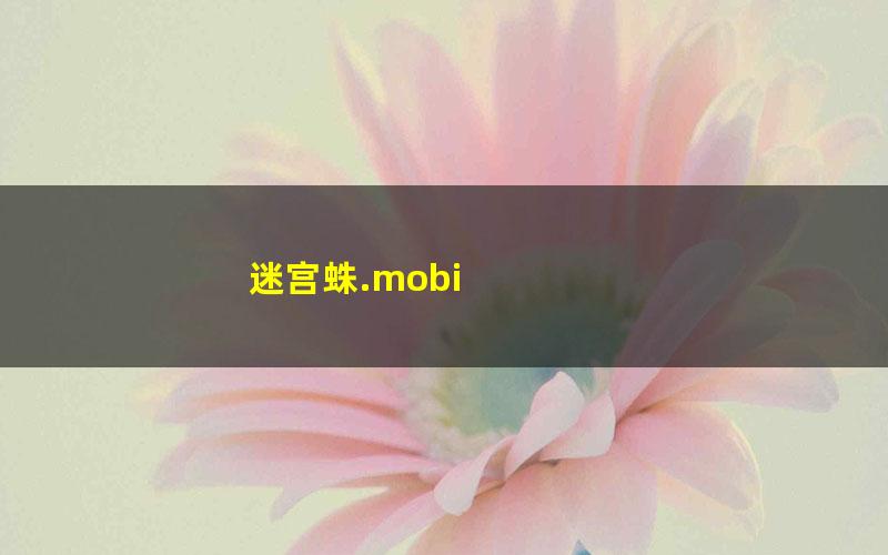 迷宫蛛.mobi