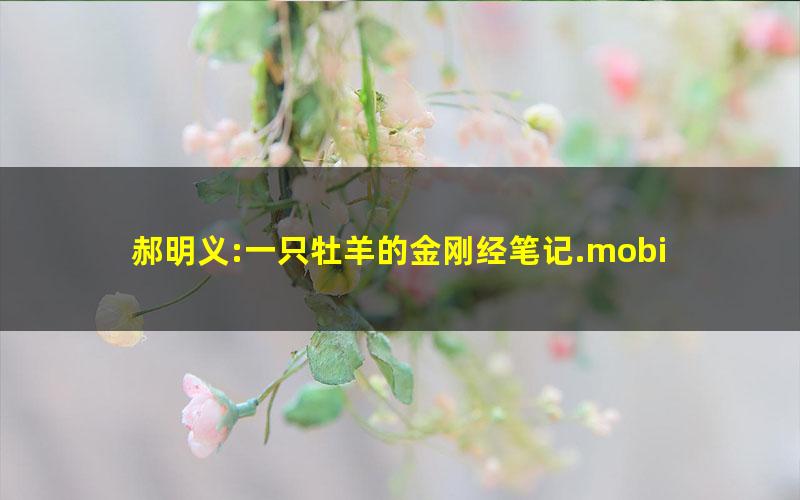 郝明义:一只牡羊的金刚经笔记.mobi