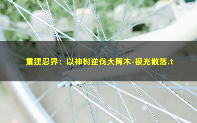 重建忍界：以神树逆伐大筒木-极光散落.txt