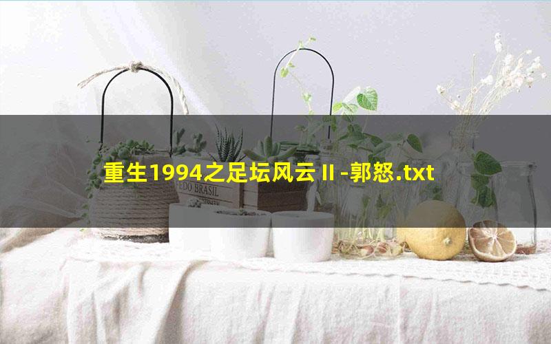 重生1994之足坛风云Ⅱ-郭怒.txt