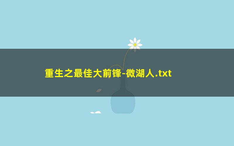 重生之最佳大前锋-微湖人.txt