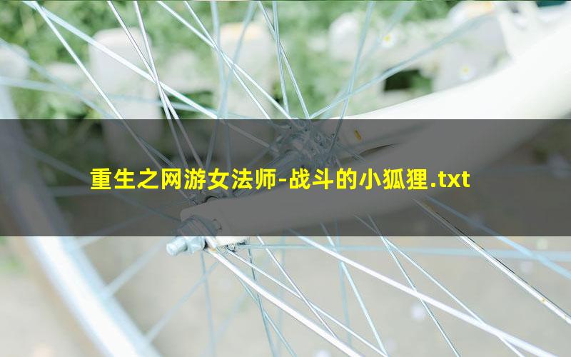 重生之网游女法师-战斗的小狐狸.txt