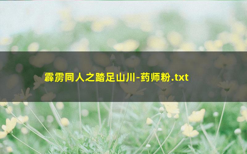 霹雳同人之踏足山川-药师粉.txt txt/pdf/azw3/mobi电子版百度夸克网盘下载